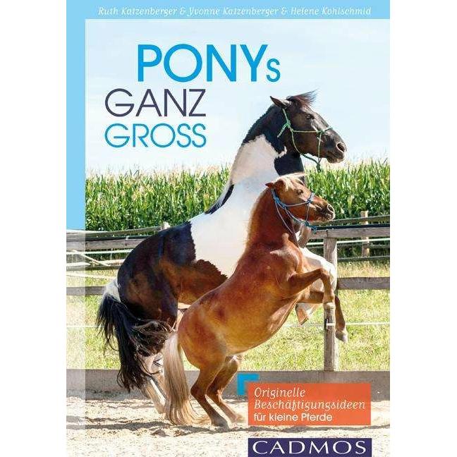 Ponys ganz gross, Ratgeber von Ruth Katzenberger