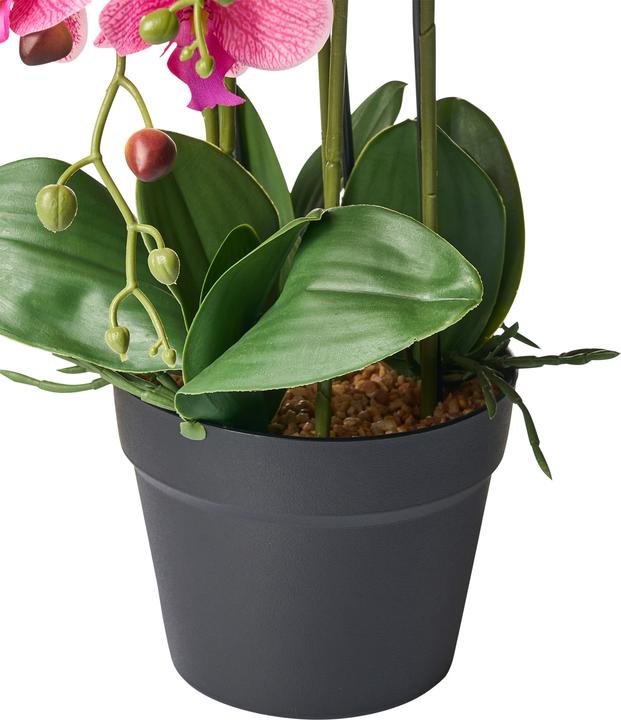 Immagine prodotto Beliani Orchid (65 cm)