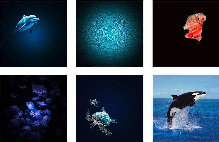 Image du produit Kidywolf Bluetooth Planetarium Ozean