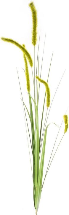 Eurofirany KW/NATU/359/DOEL (53 cm)