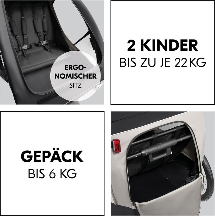 Actual product image Hauck Dryk Duo Plus Fahrradanhänger