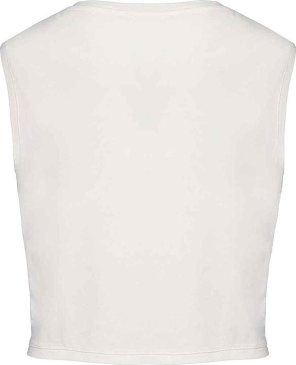 Actual product image Native Spirit Womens/Ladies Faded Cropped Tank Top (L)