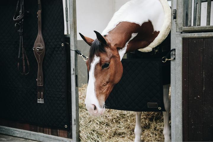 Image du produit Kentucky Horsewear Rideau de porte de box "Stable Guard