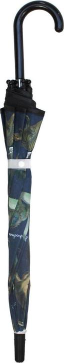 Image du produit Vadobag Parapluie Skooter Dino