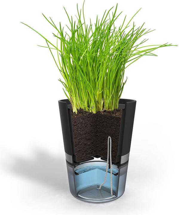 Image du produit GEFU Botanico (14.20 cm)