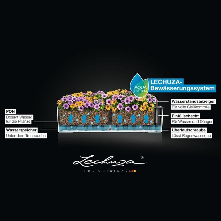 Produktbild Lechuza Balconera Cottage (79 x 19 x 19 cm)