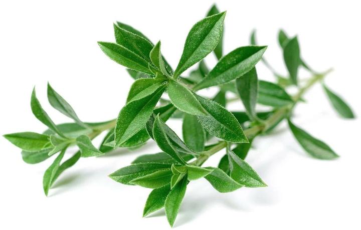 Actual product image Click and Grow Seeds mountain savory, 3-pack (Herb seeds)