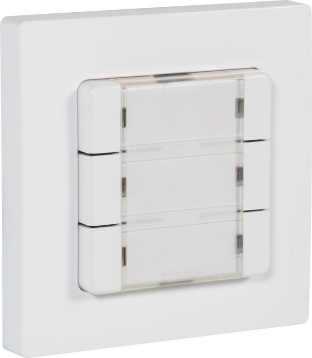 Actual product image Rademacher DuoFern multiple wall push-button BAT 9494-1