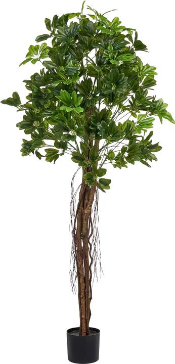 Produktbild Beliani Umbrella Tree (175 cm)