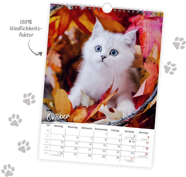 Produktbild Trtsch Classickalender Liebste Katzen 2026 (24 x 33 cm)