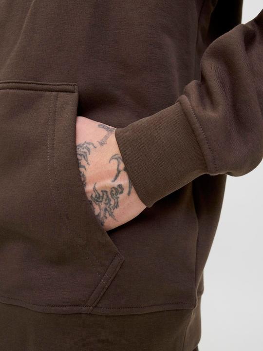 Produktbild Jack & Jones Jjesoho Sweat Hood Noos Pls
