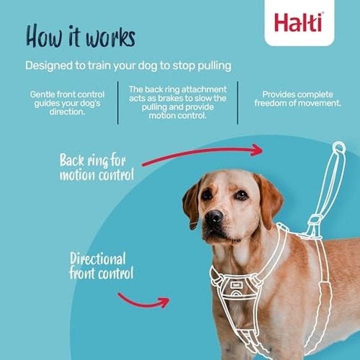 Image du produit Halti Vert forêt (12, Chien, Général)