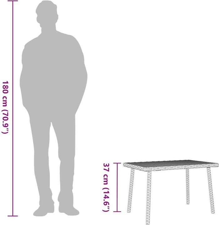 Image du produit vidaXL Garten-Couchtisch