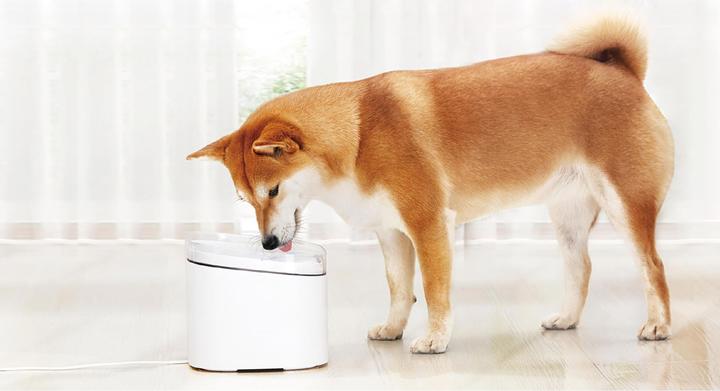 Actual product image Xiaomi Smart Pet (2 l)