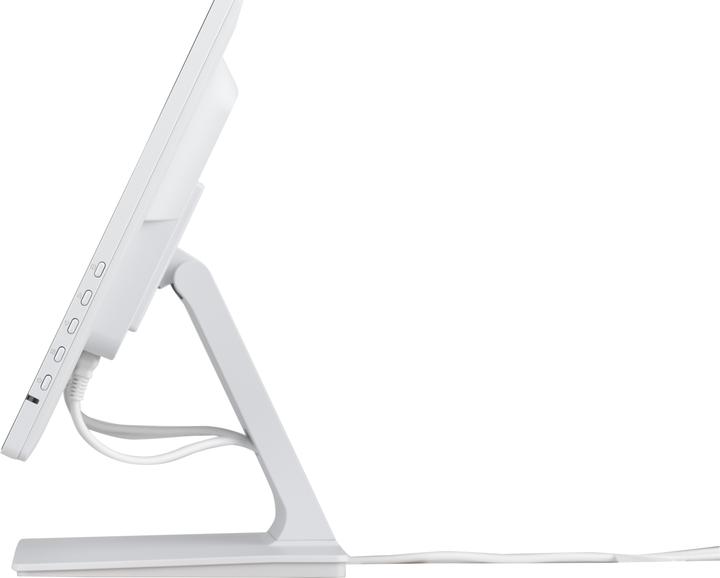 Image du produit iiyama ProLite T2452MSC-W1 (1920 x 1080 pixels, 23.80")