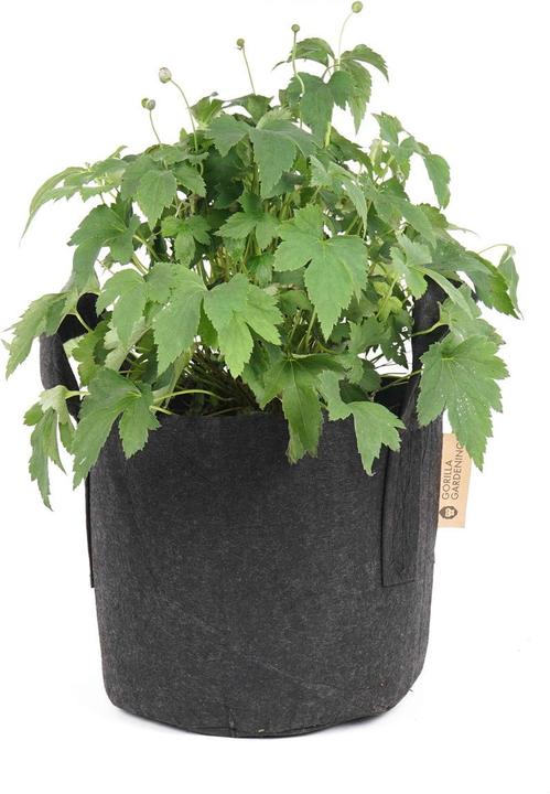 Image du produit Gorilla Gardening Sac de plantation (25.50 cm)
