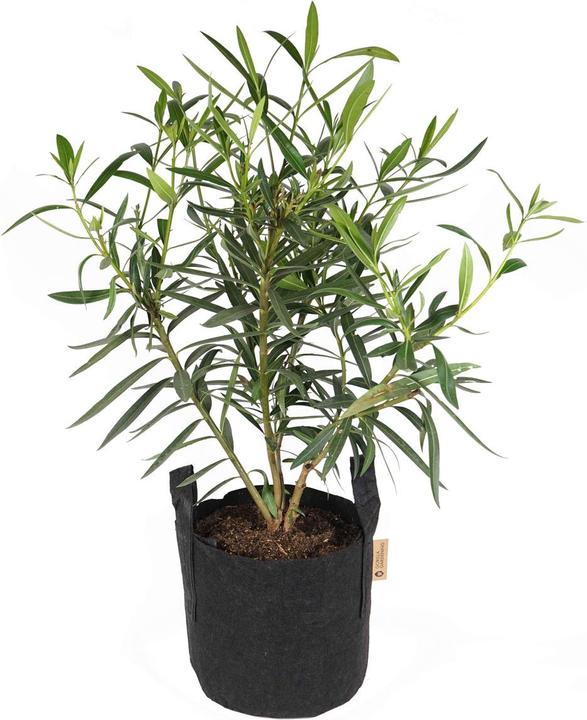 Produktbild Gorilla Gardening Pflanzsack 16 Liter (28 cm)