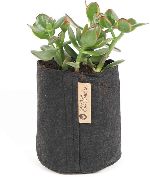 Immagine prodotto Gorilla Gardening Borsa per piante (15 cm)
