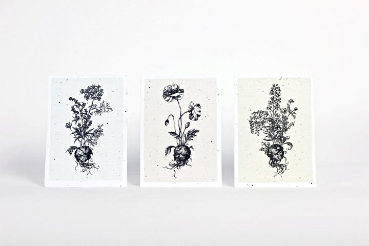 Produktbild Gorilla Gardening Seedpapers Andrea Noti (Samenbomben)