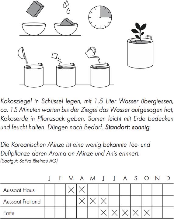 Produktbild Gorilla Gardening Minze (Kräutersamen)