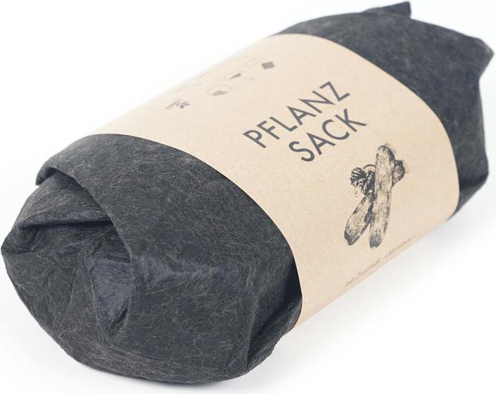 Produktbild Gorilla Gardening Zucchetti (Gemüsesamen)