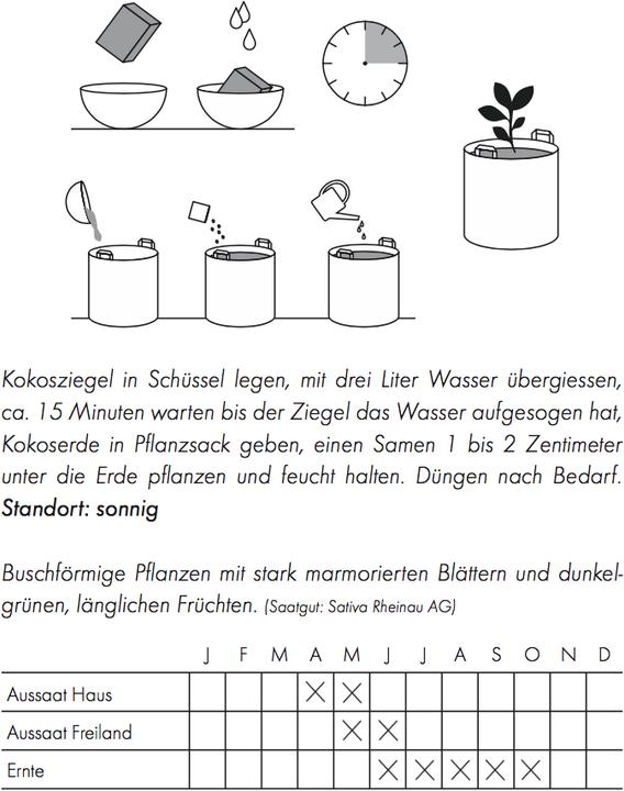 Produktbild Gorilla Gardening Zucchetti (Gemüsesamen)