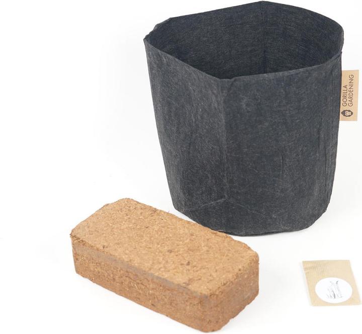 Produktbild Gorilla Gardening Zucchetti (Gemüsesamen)