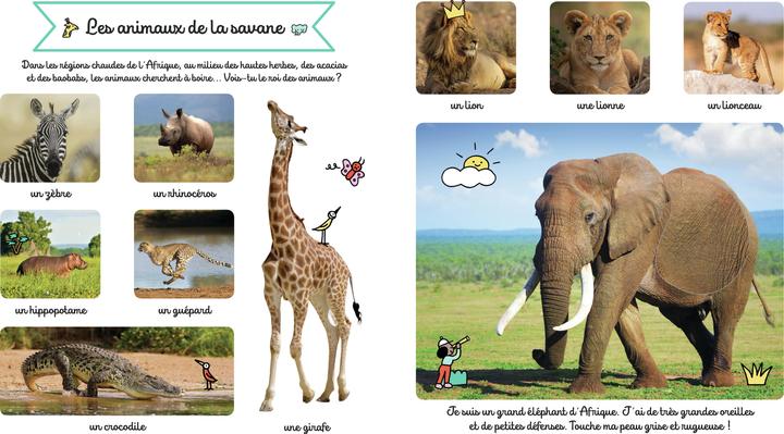 Image du produit Larousse jeunesse Le grand imagier des animaux à toucher (Français, Collectif, 2022)