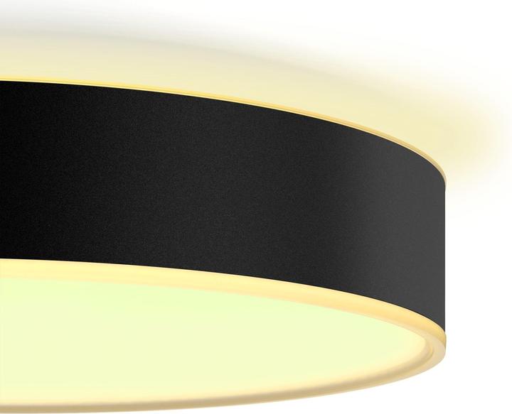 Image du produit Philips Hue White Ambiance Enrave (2400 lm)