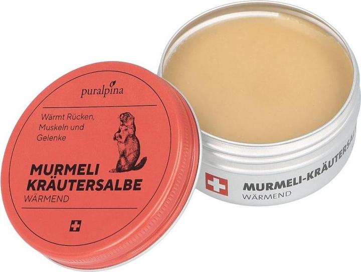 Immagine prodotto Puralpina Unguento a base di erbe Murmeli che riscalda (1 x, 100 ml, 120 g)