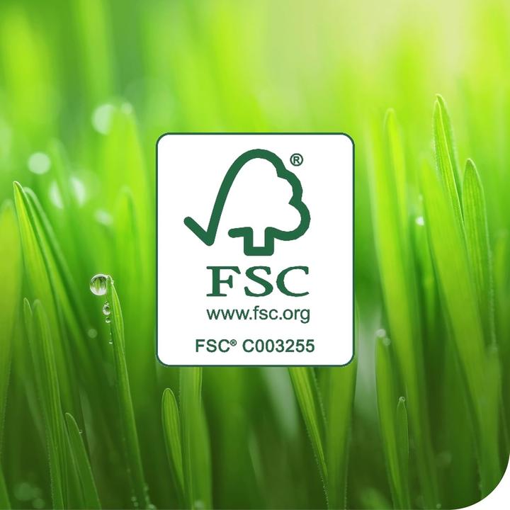 Productafbeelding Tork 530180 Sterke poetsdoeken 61,5 x 35,5 cm wit 1-laags, 4 x 70 stuks/doos, W4 enkele doek (4x)