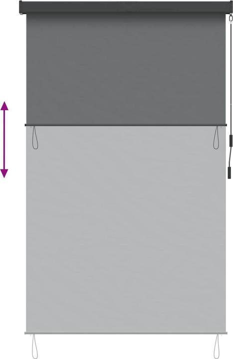 Produktbild vidaXL Outdoor Rollo (100 x 250 cm)