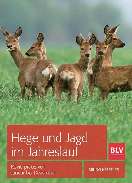 Produktbild Hege und Jagd im Jahreslauf (Deutsch, Bruno Hespeler, 2015)