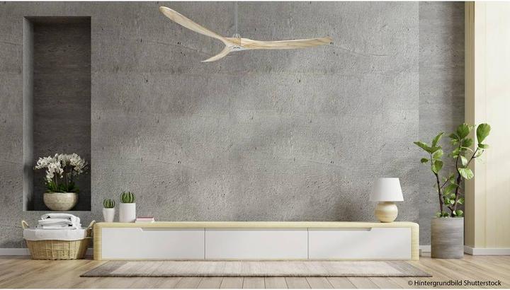 Immagine prodotto CasaFan Eco Genuino (22 dB)