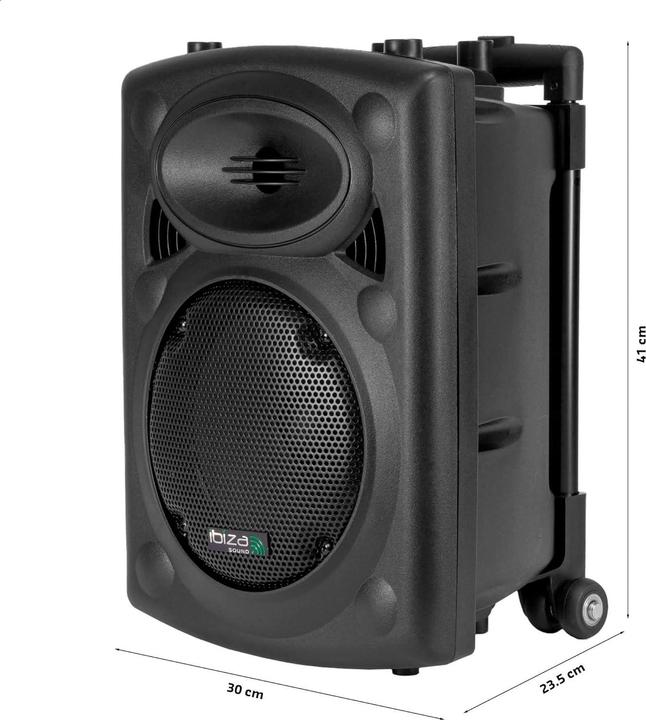 Actual product image Ibiza PORT8VHF-BT