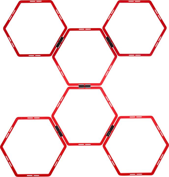 Pure Hexagon Trainingsgitter