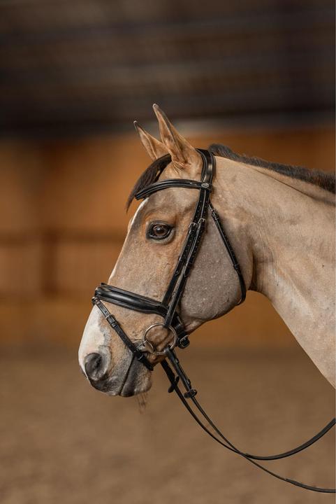 Image du produit HFI Master Pro Line Verona