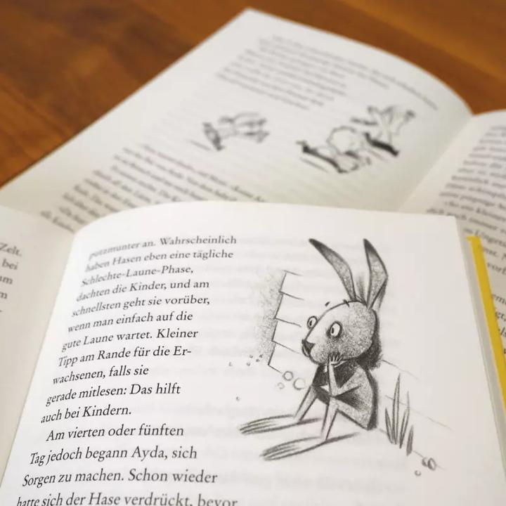 Produktbild Ayda, Bär und Hase (Deutsch, Navid Kermani, 2017)