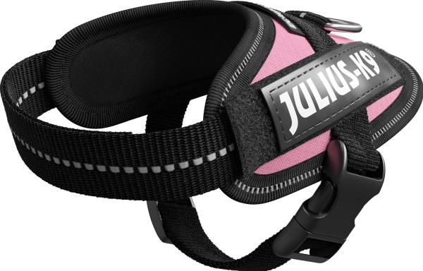 Actual product image Julius-K9 K9 Idc Powergesch Baby 1 Hrosa (1, Dog, Dog sport)