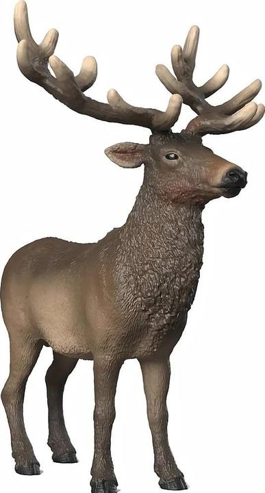 Image du produit Schleich Amerikanischer Rothirsch