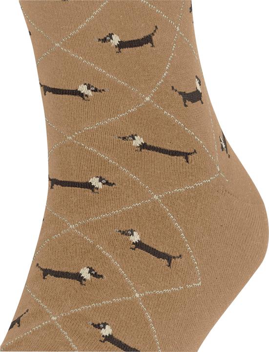 Immagine prodotto Falke Dachshund SO (40 - 46)