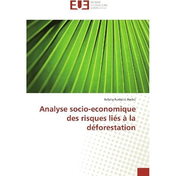 Analyse socio-economique des risques liés à la déforestation, Ratgeber von Belahy Fortuné André