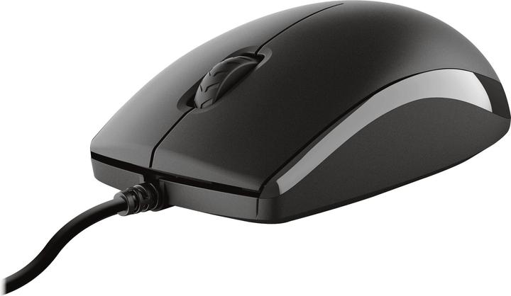 Actual product image Trust Primo Keyboard USB QWERTY German Black (DE, Cable)