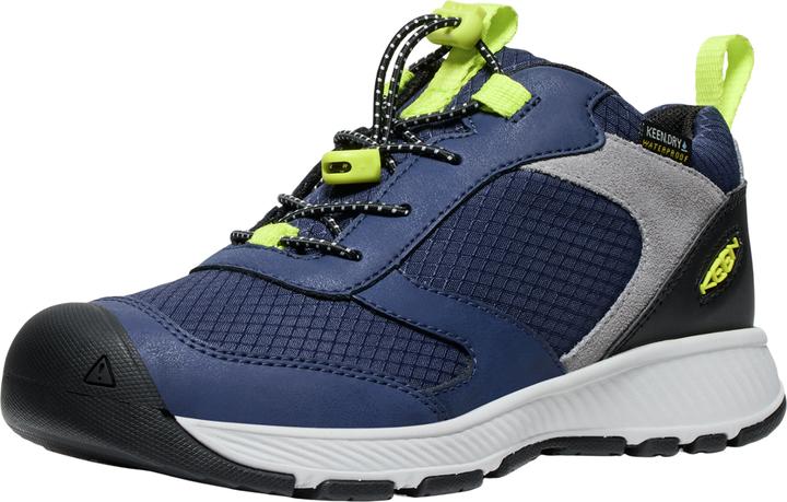 Evening primrose, Naval Academy