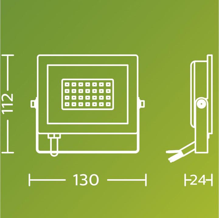 Immagine prodotto Philips Outdoor Flutlicht Lois (2050 lm, IP65)