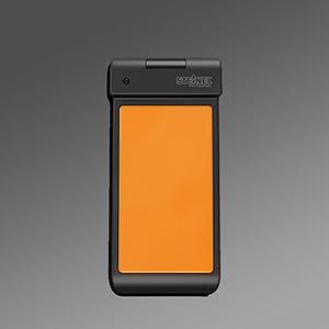 Regiolux, Accessori sicurezza degli edifici, Trasmettitore portatile