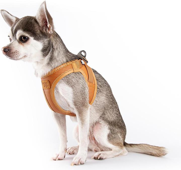 Productafbeelding Curli Harnas Appelleder, 2XS, Bruin (XXS, Hond, Algemeen)