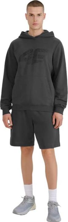 Image du produit 4F Herren-Shorts in Anthrazit (XL)