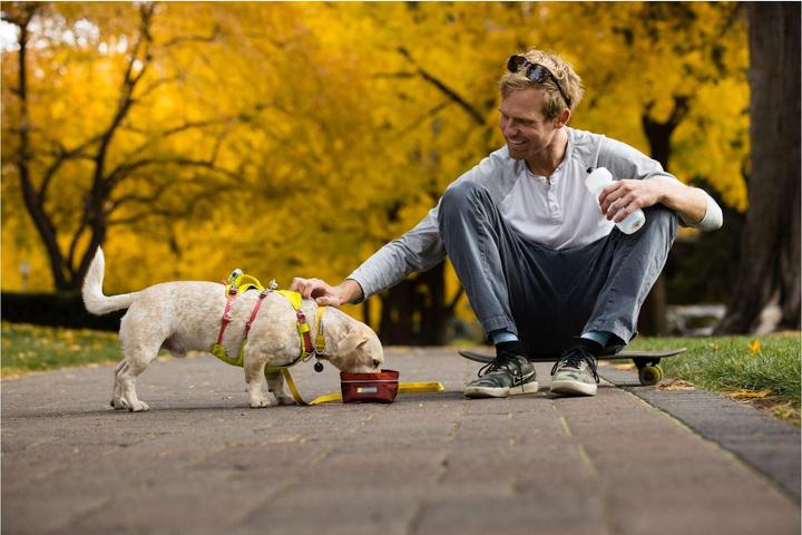 Image du produit Ruffwear Flagline (L, XL, Chien, Général)