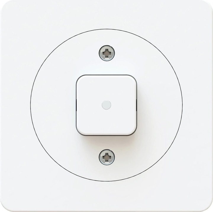 Actual product image Max Hauri maxONE pushbutton A/R